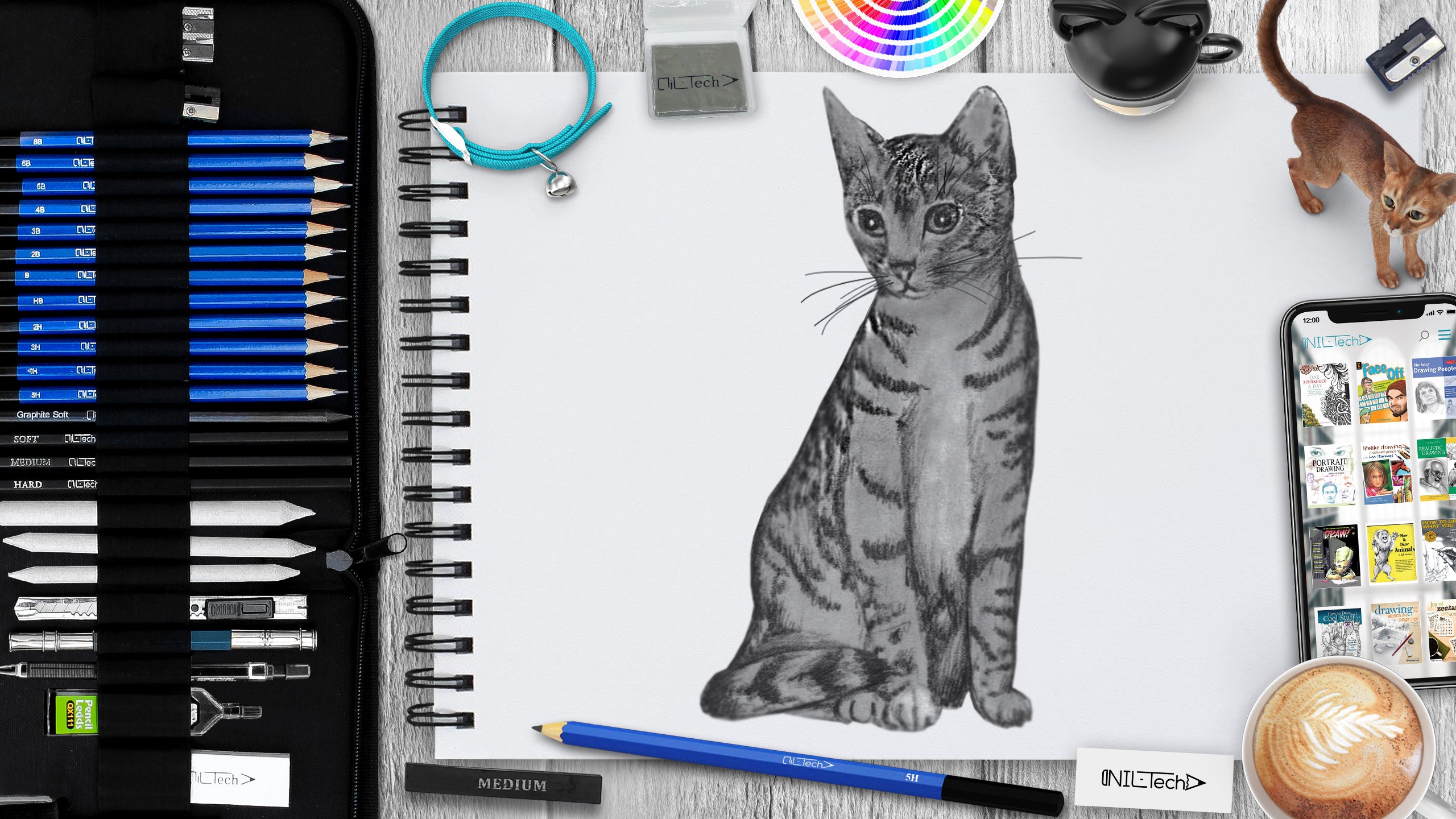 Draw a Cat in easy 9 steps