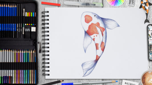 fish sketch