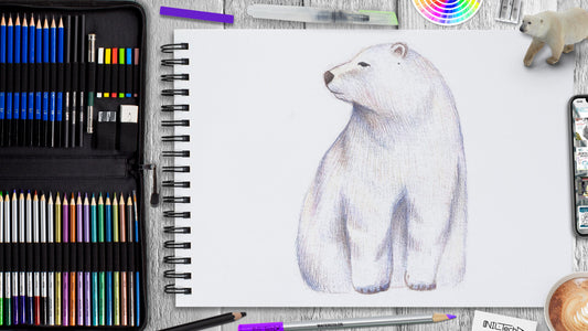 How to Draw Polar Bear