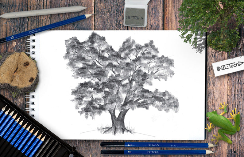 How to Draw a Tree