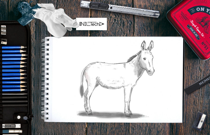 How to draw Donkey step by step tutorial
