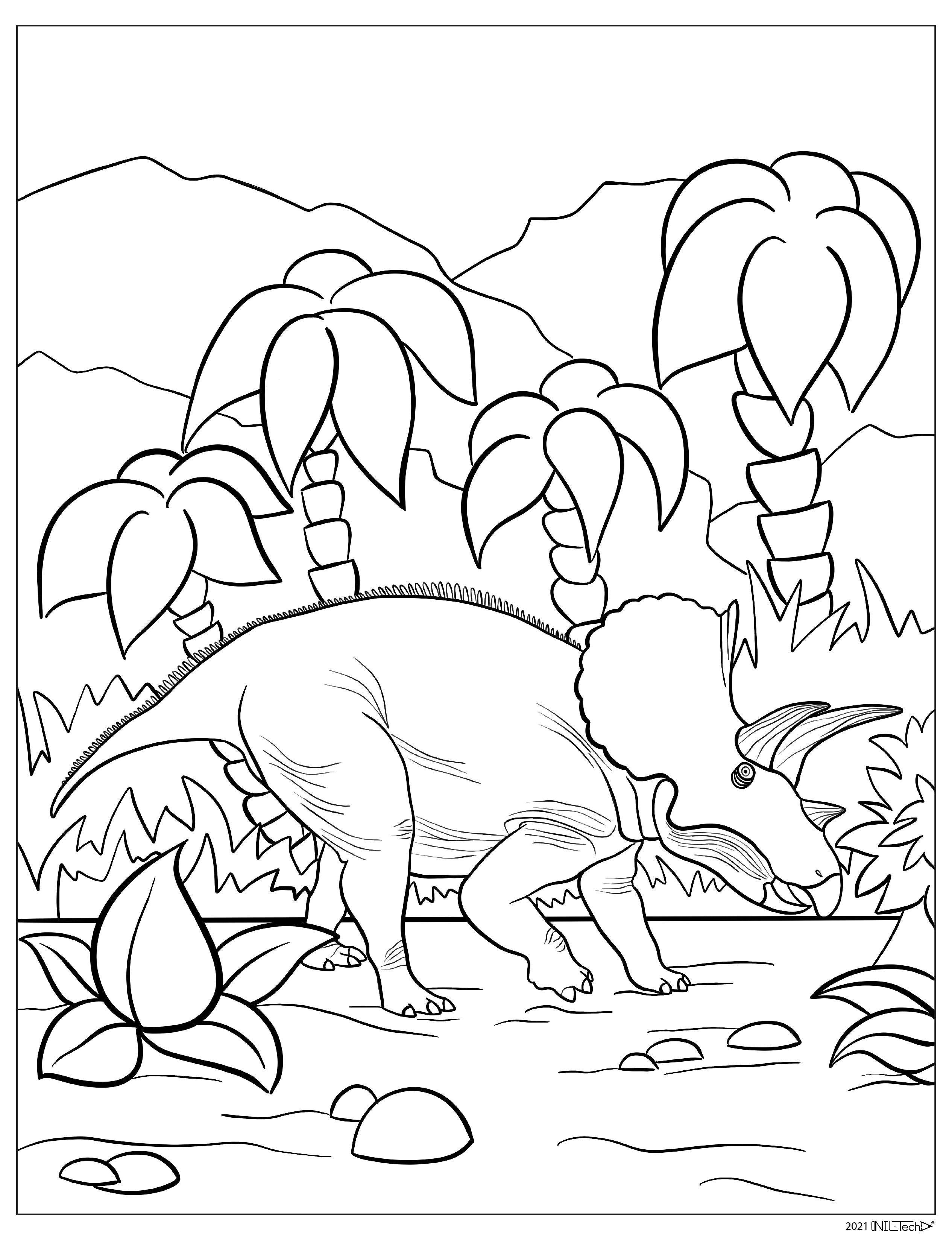 Triceratops Dinosaur