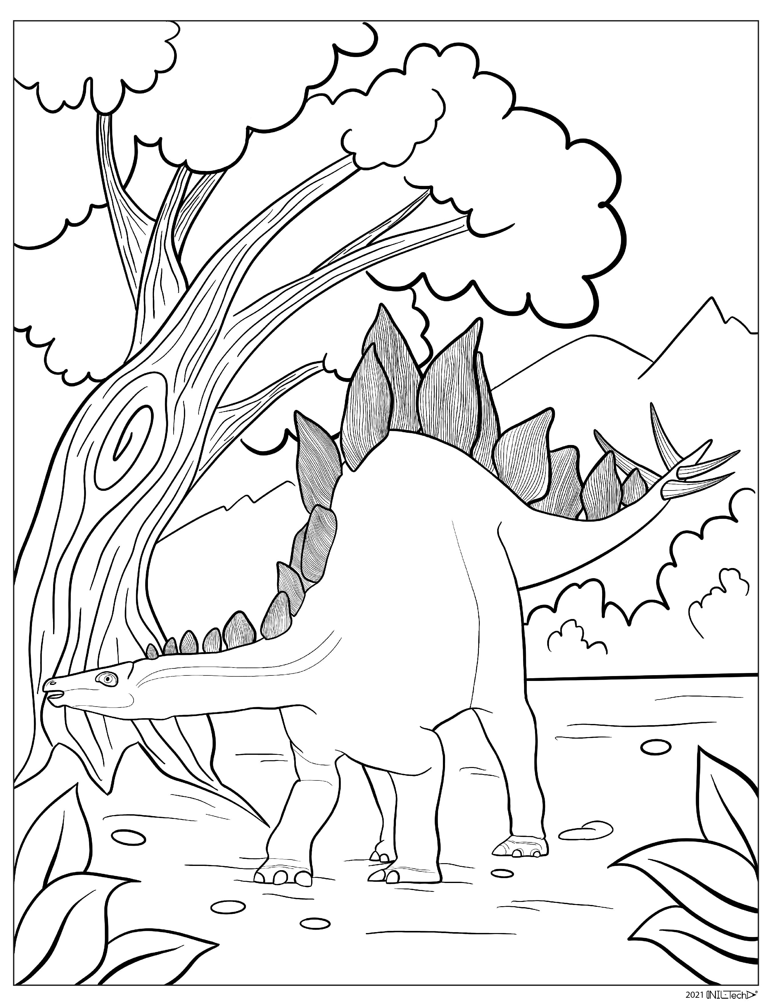 Stegosaurus Dinosaur