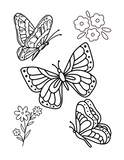 Butterfly Wonders: Printable Butterfly Coloring Book for All Ages