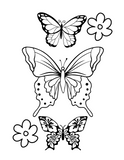 Butterfly Wonders: Printable Butterfly Coloring Book for All Ages