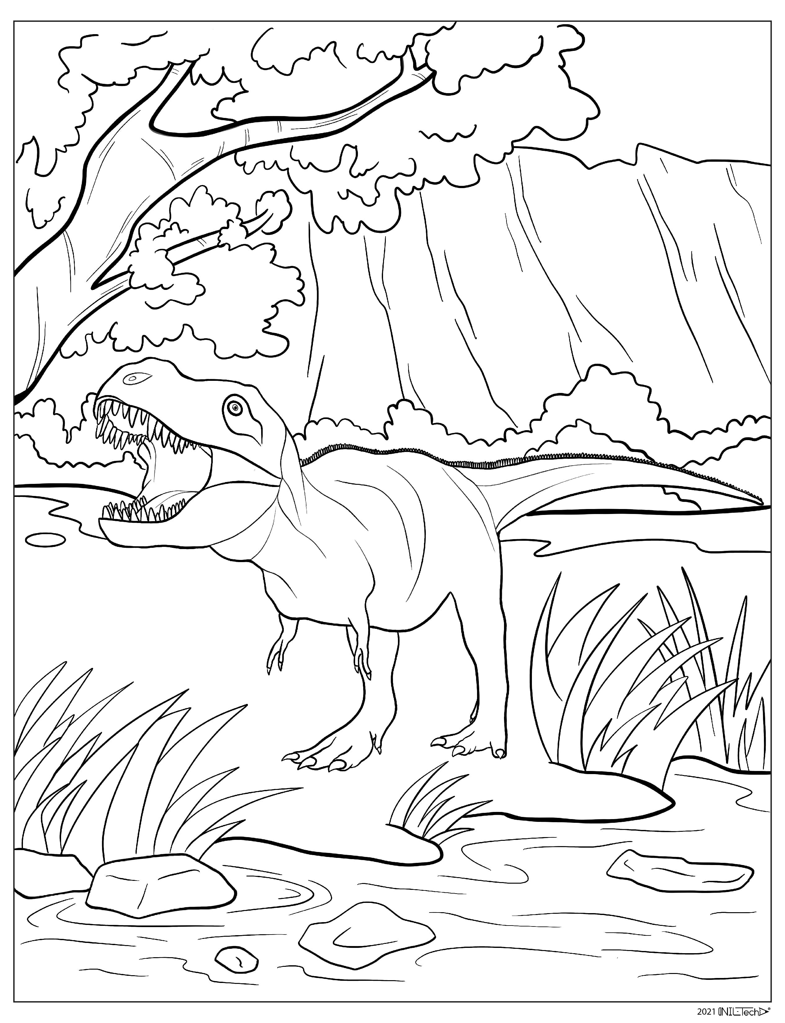 Tyrannosaurus Dinosaur 2