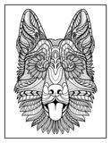 Animal coloring book