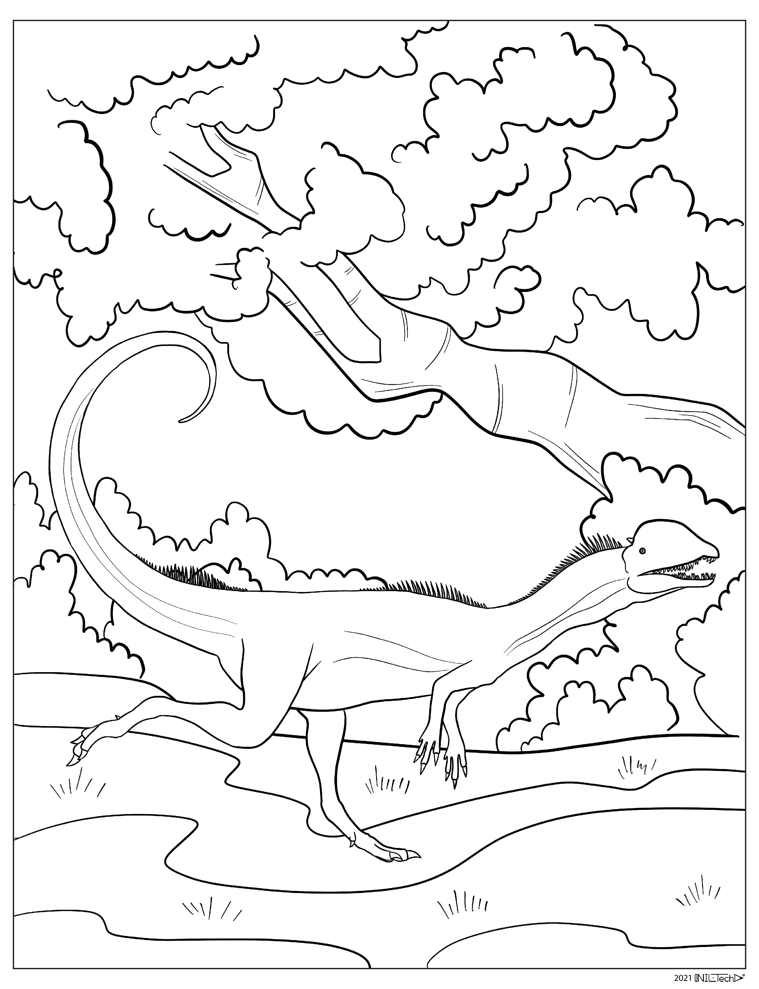 Giganotosaurus Dinosaur