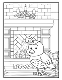 Coloring for kids and adults