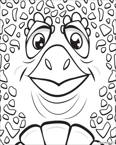 Turtle Close-Up with a Smile