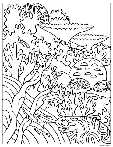 Underwater Coral Small Fish