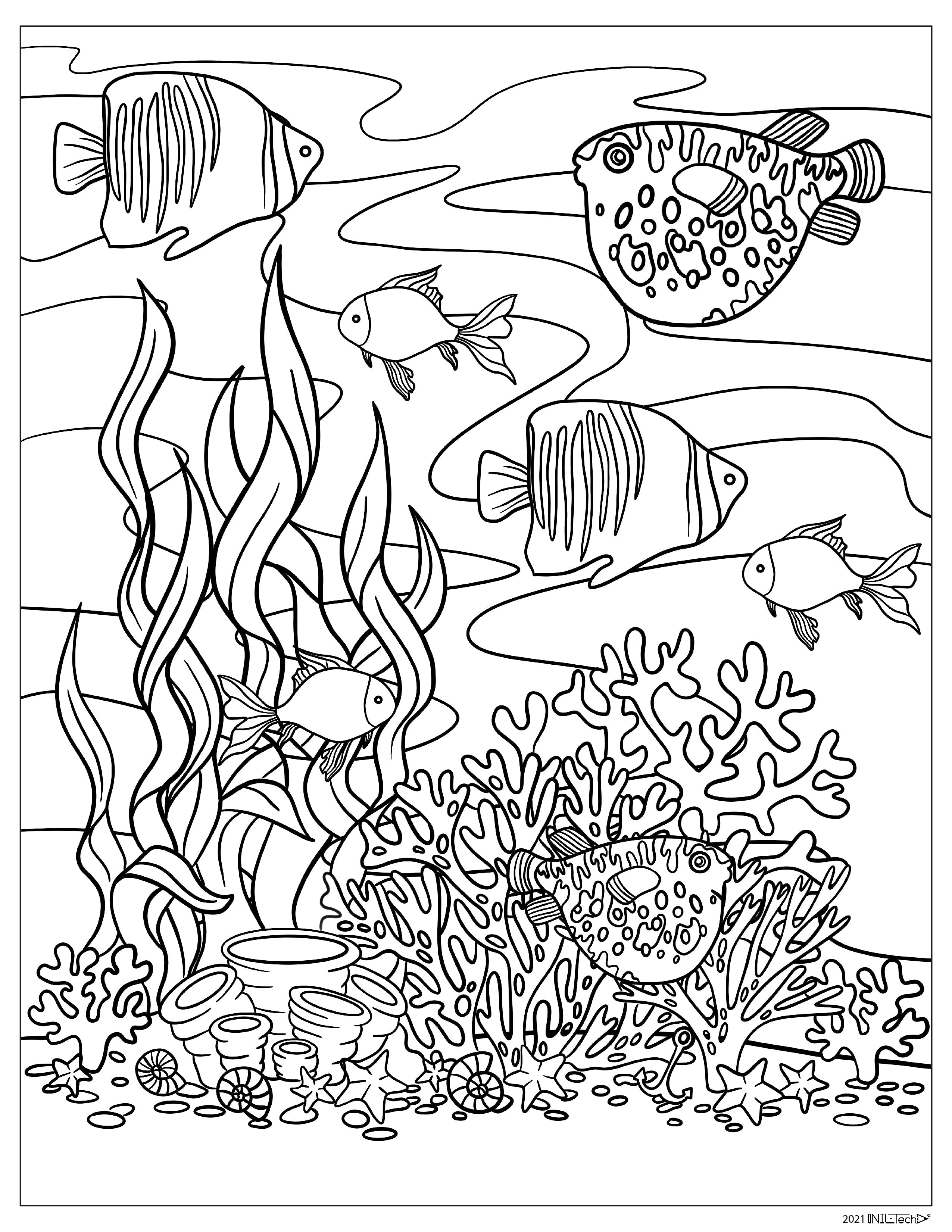 Underwater Ocean Coral Fish