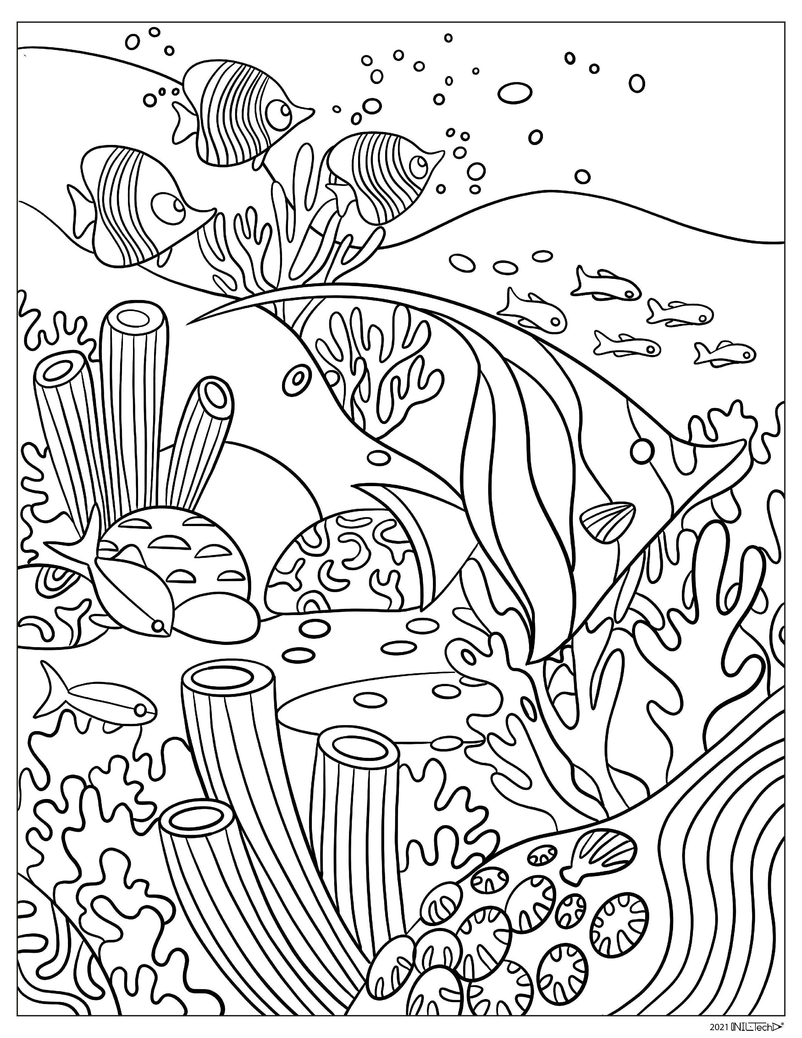 Underwater Ocean Exotic Fish