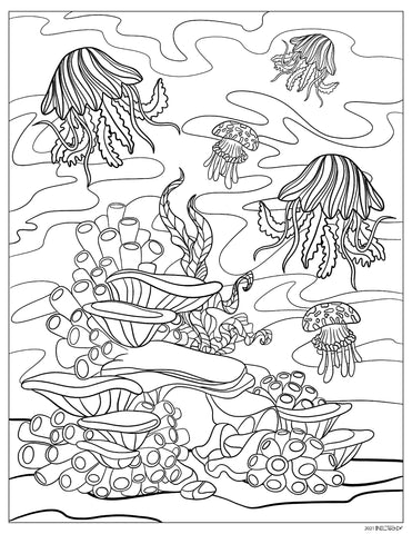 Underwater Ocean Jellyfish and Coral