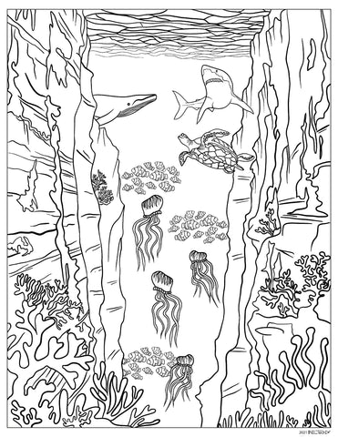 Underwater Ocean World, Shark, Jellyfish