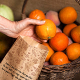 educational brown paper lunch bags for kids