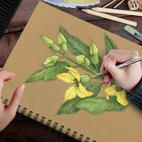 toned tan sketchbook