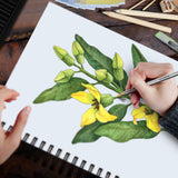 sketchbook white paper