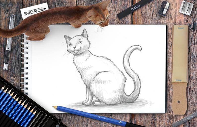 Easy cat drawing step by step tutorial