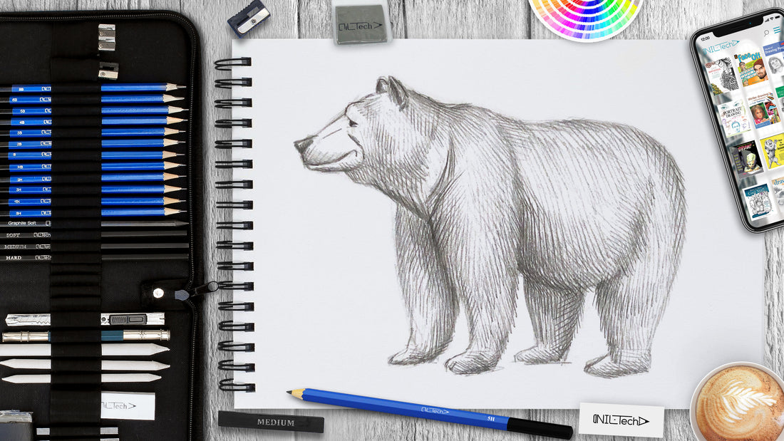 easy bear drawing