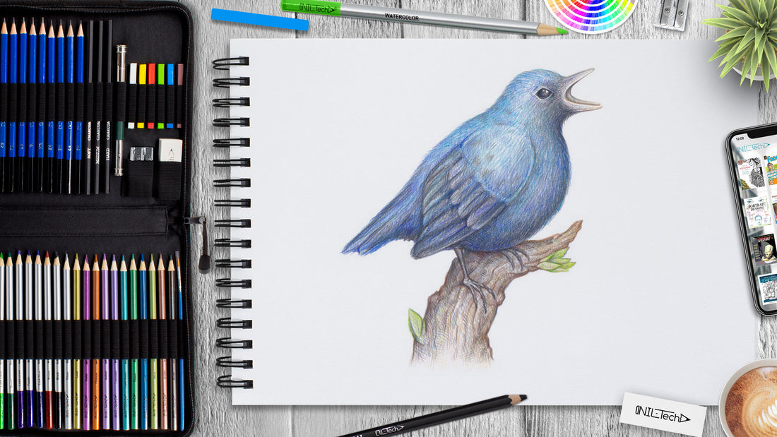 how to draw a bird step by step