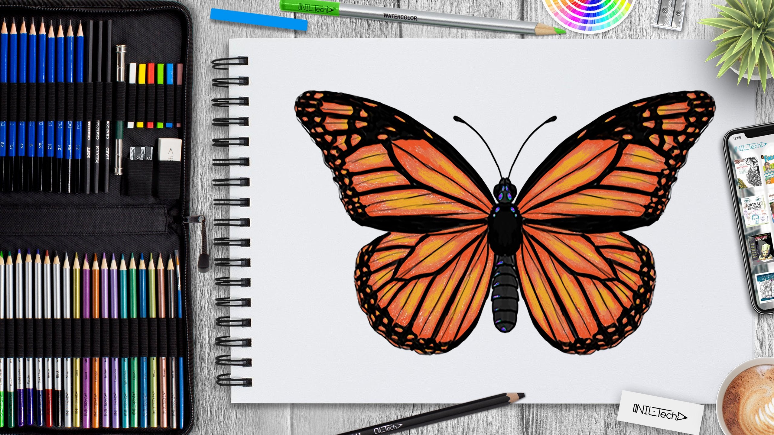 How to draw butterfly with Dom's Color Pencils || Step by Step || Just Like  Art - YouTube