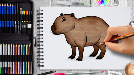 Basic shapes for capybara drawing