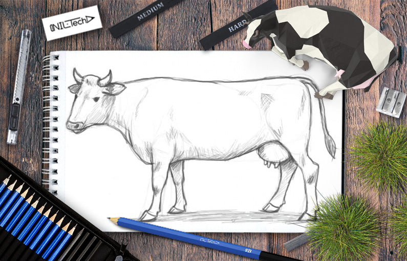 How to draw a cow step by step tutorial