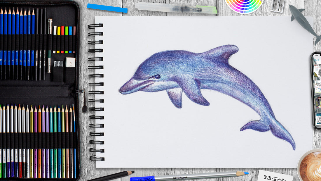 how to draw a dolphin easy