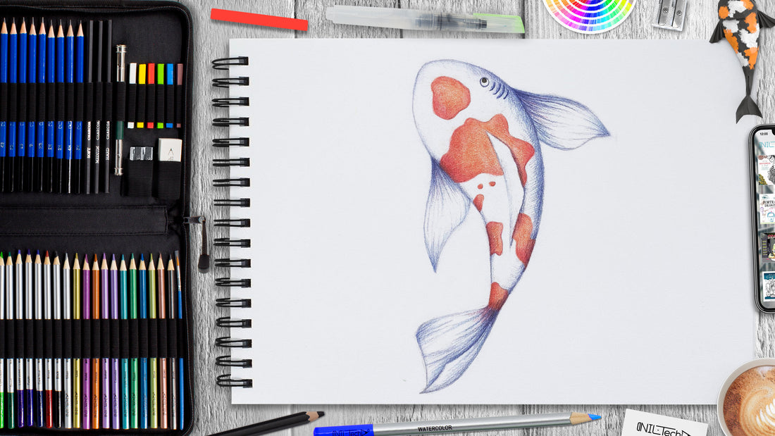 fish sketch