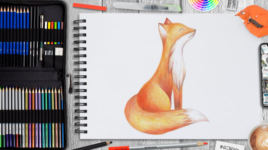 fox drawing easy