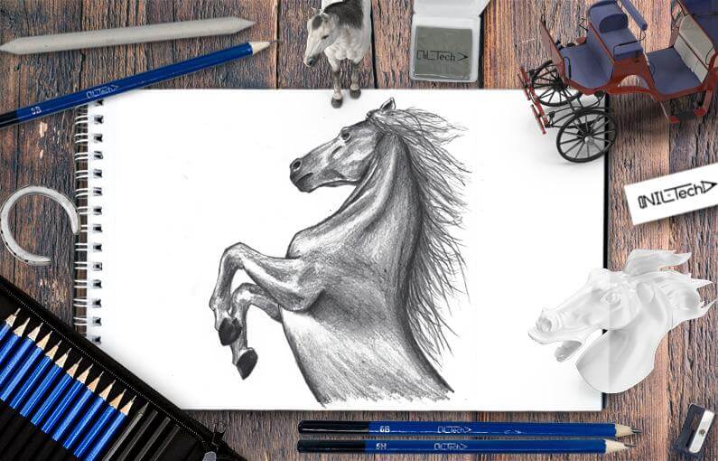 how to draw a horse step by step
