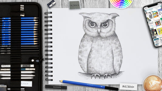 owl sketch