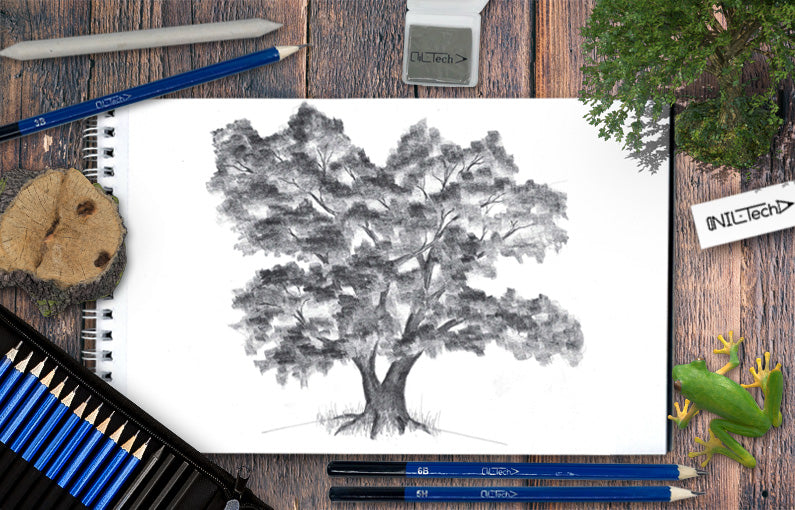How to draw a Tree step by step tutorial
