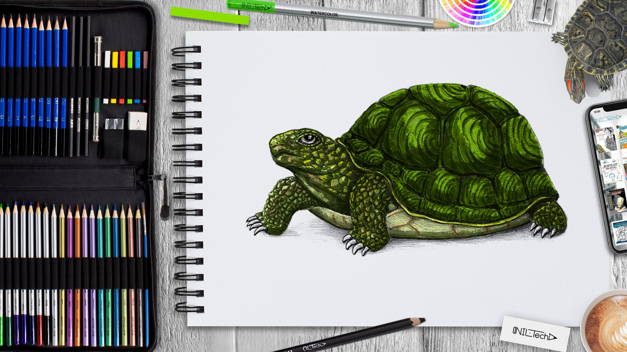 how to draw turtle step by step