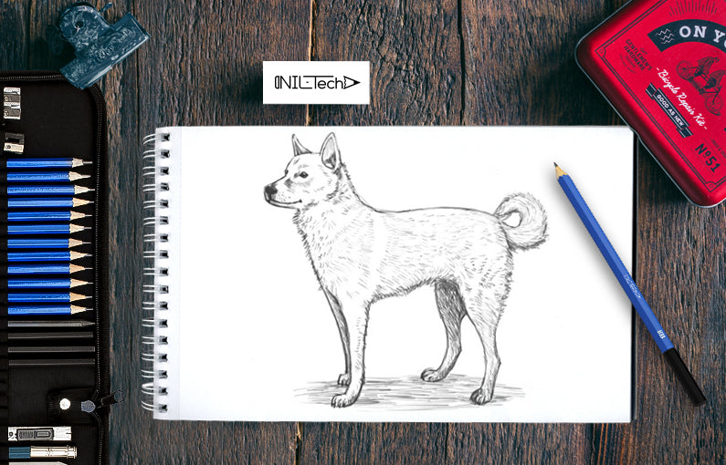 How to Draw a Dog