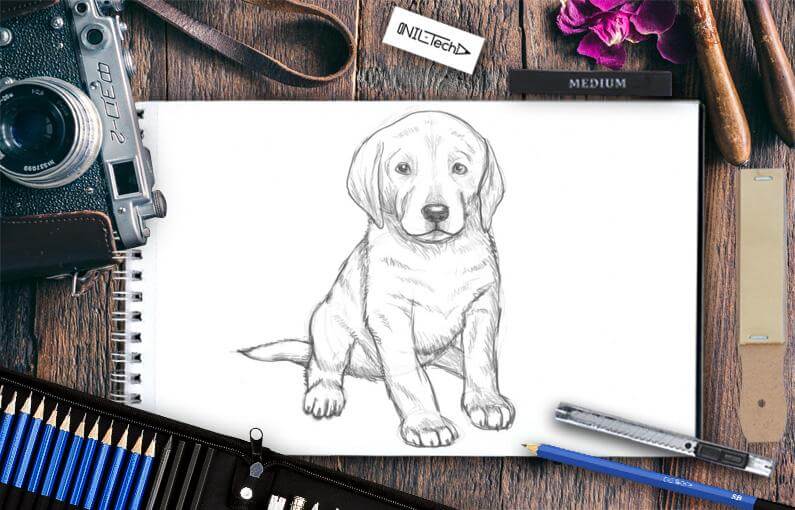 The easy way to draw a Labrador Puppy