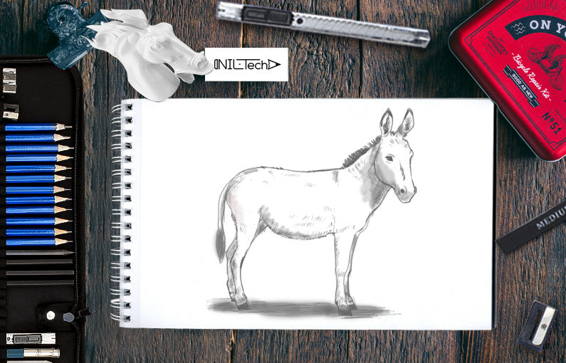 How to draw Donkey step by step tutorial 