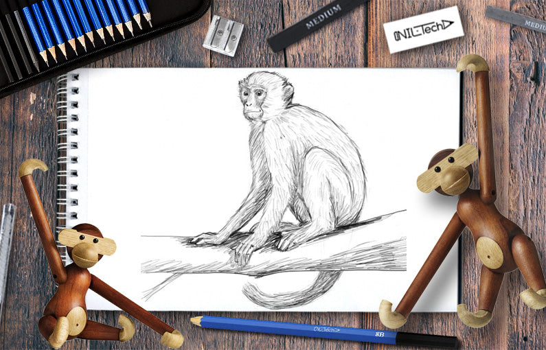 Golden Snub-Nosed Monkey Pencil Drawing - How to Sketch Golden Snub-Nosed  Monkey using Pencils : DrawingTutorials101.com