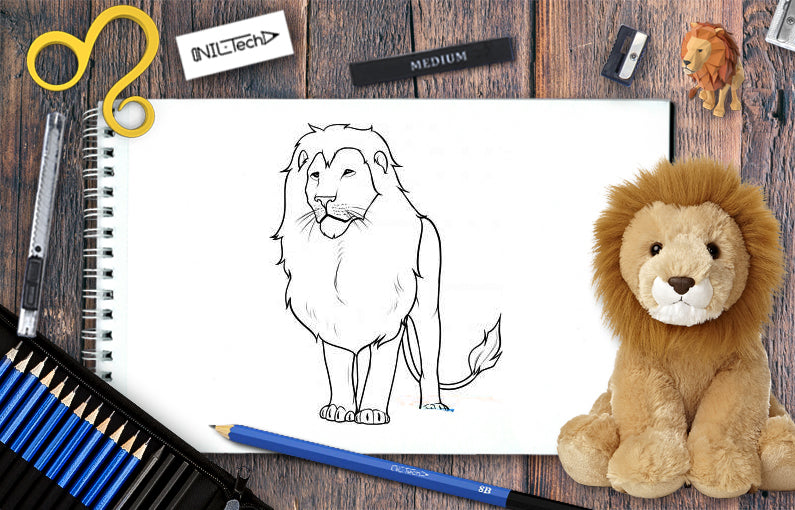 How to draw Lion step by step tutorial