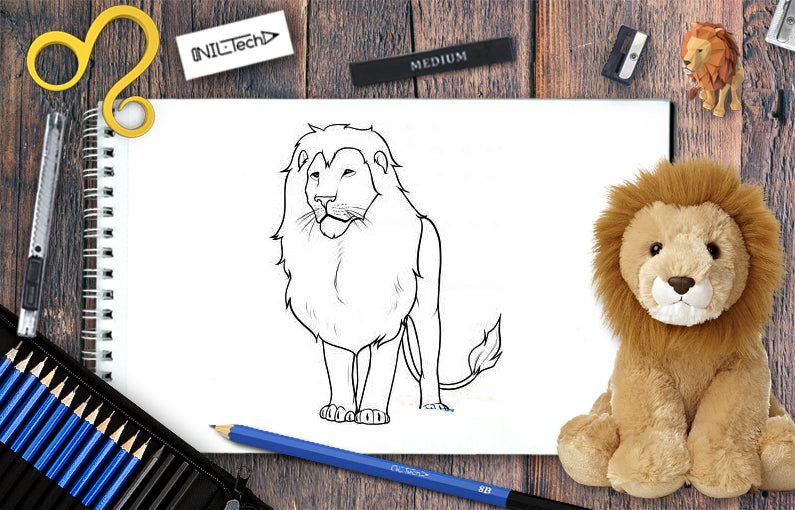 The drawing of a Lion by AyushKishore on DeviantArt