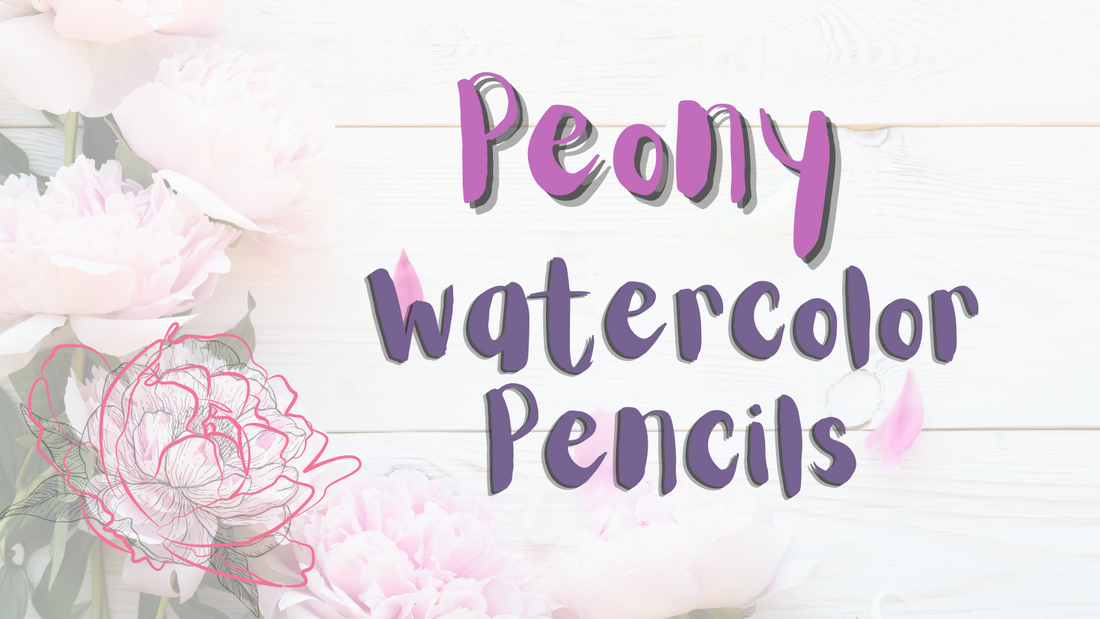 Watercolor Pencils Application: Peony Drawing and Painting