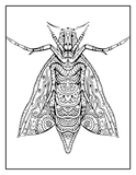 adult coloring book