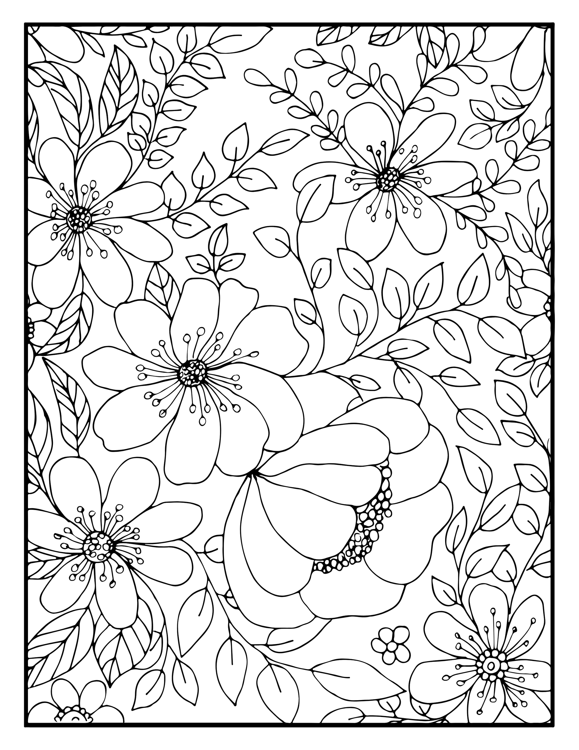 adult coloring books