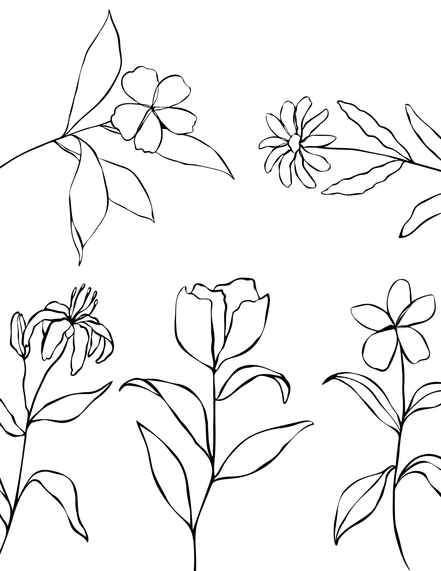 Printable (Digital) Flowers Coloring Pages: BlossomArt Coloring Collection