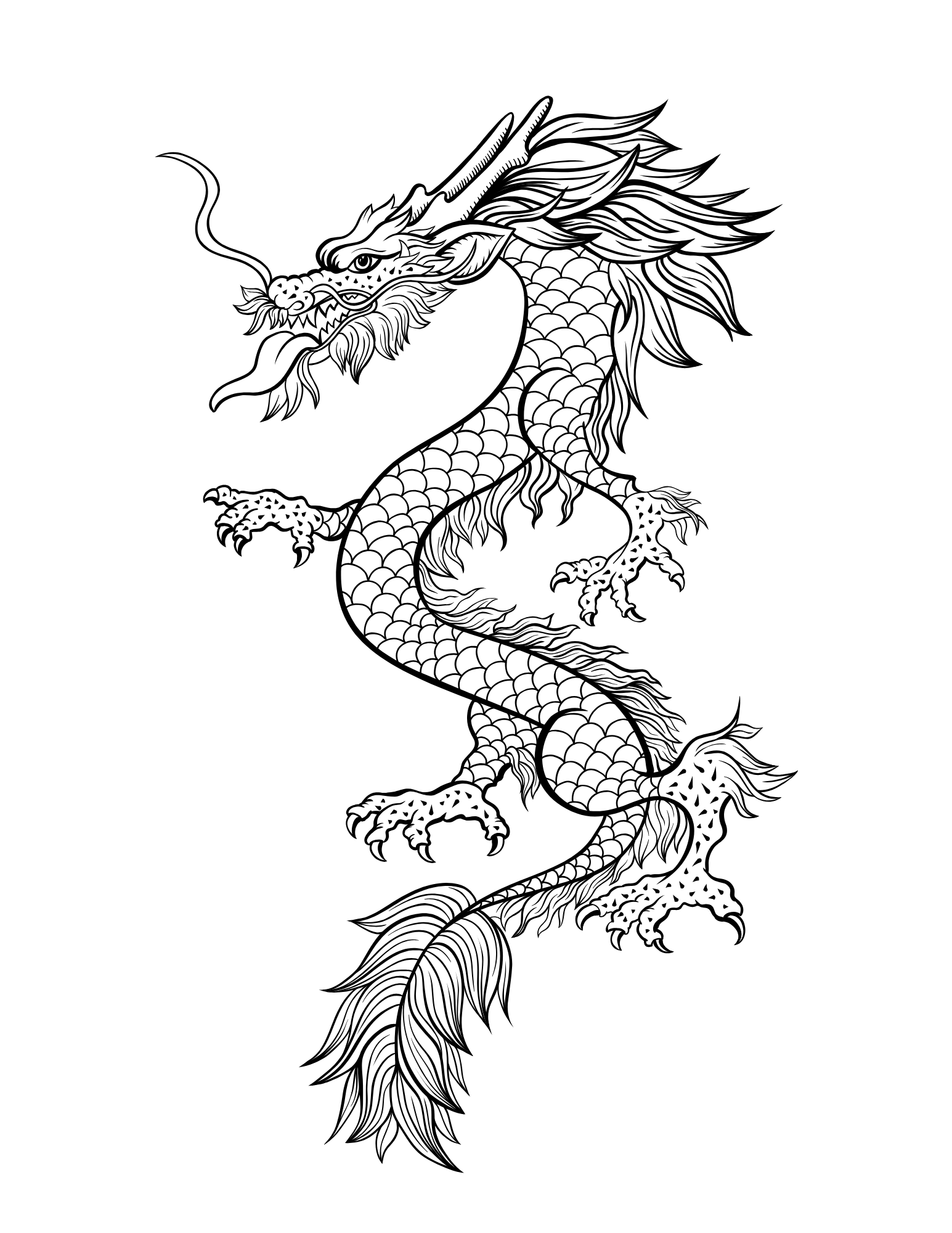 20 Dragons Coloring Book Adults Kids Coloring Pages, Instant