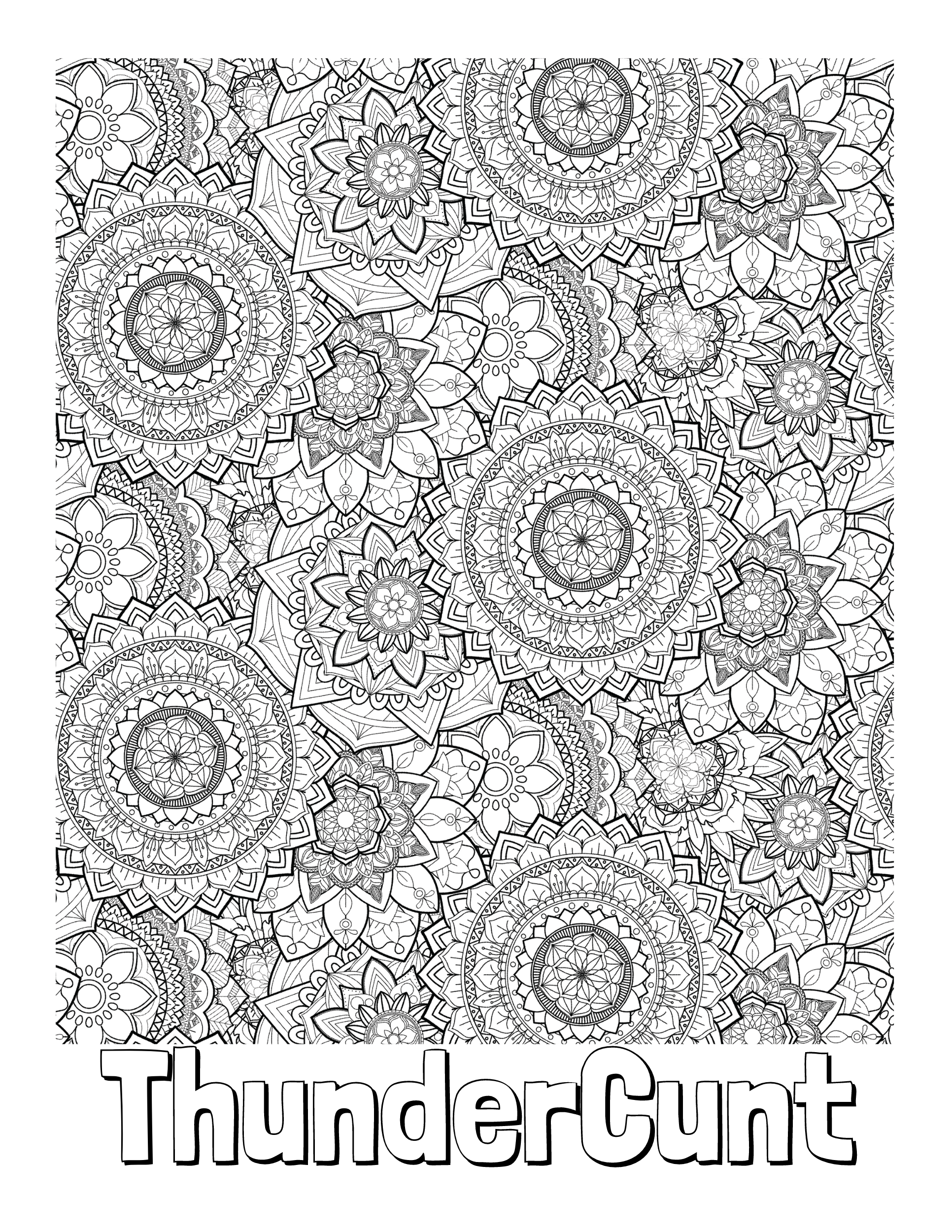 Swearing Coloring Book For Adults: 50 Funny Adult Coloring Pages With Cuss  Quotes For Relaxation and Stress Relief With Mandala Designs