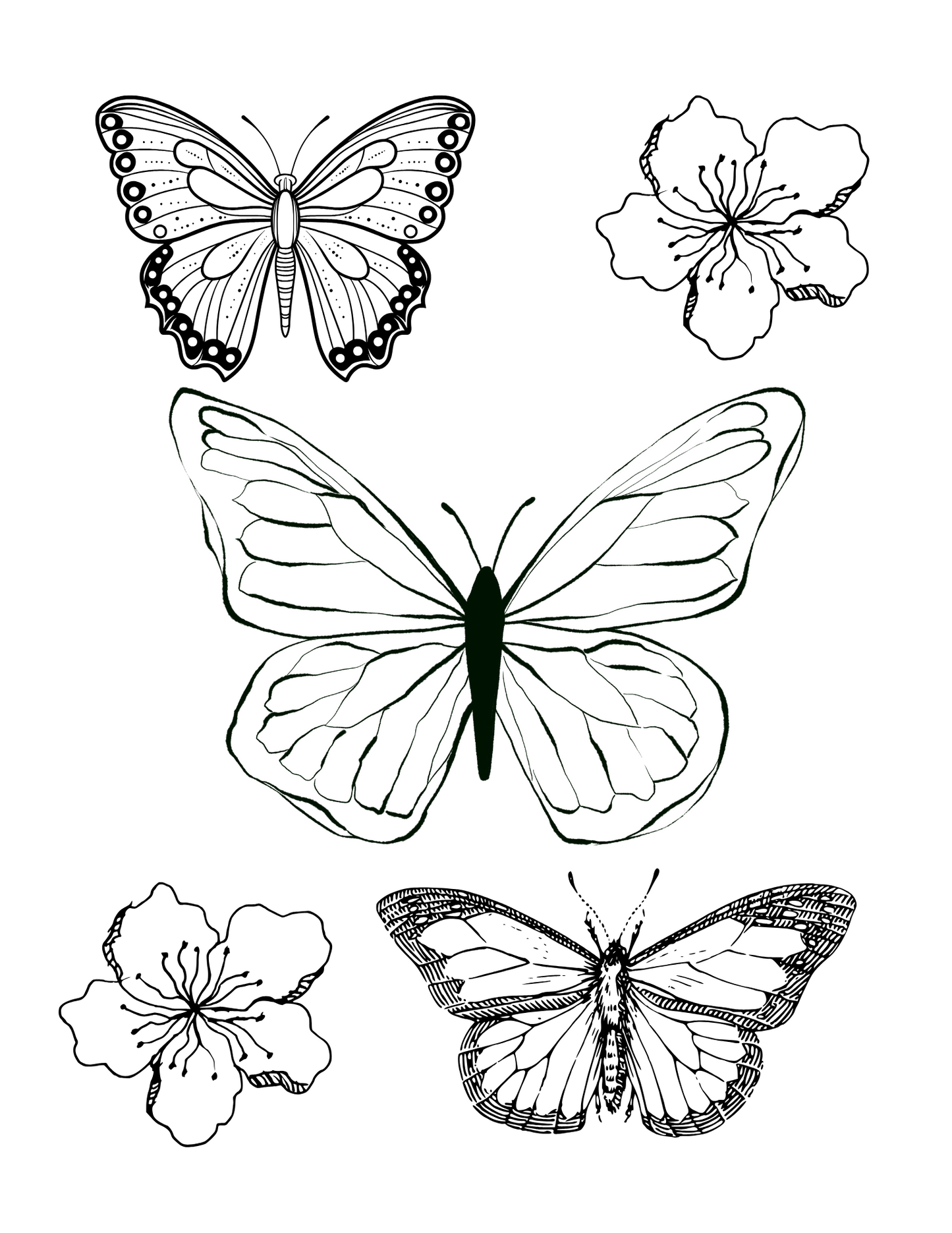 Butterfly Wonders: Printable Butterfly Coloring Book for All Ages