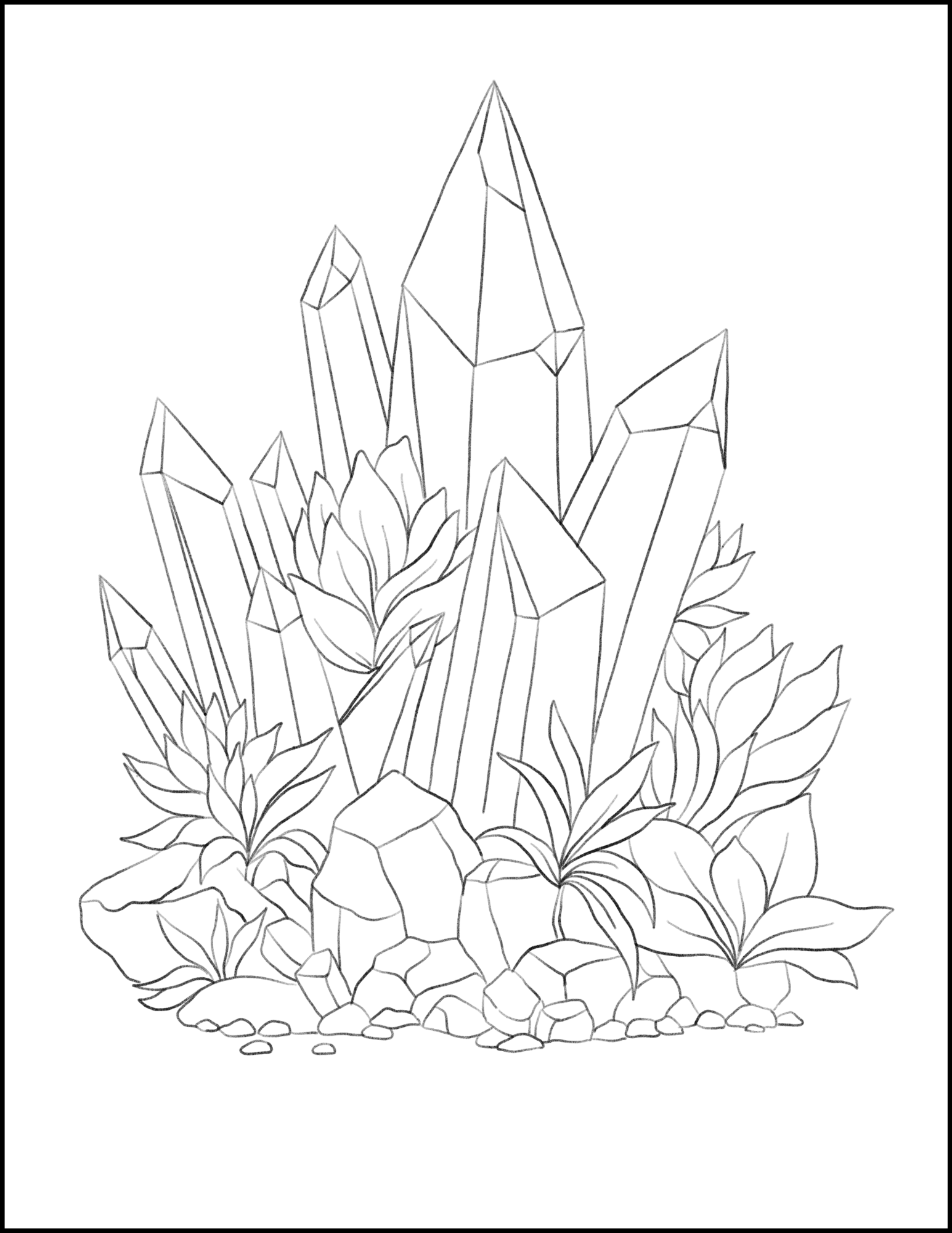 Flowers and animals coloring book