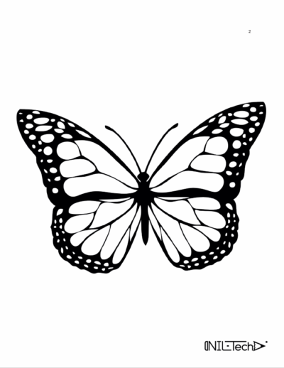 Stress relieving Butterflies patterns